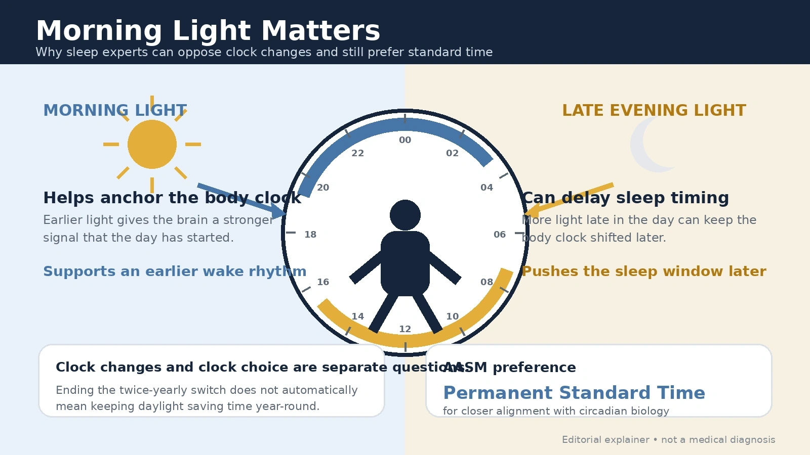 Diagram showing how morning light and evening light interact with the human circadian clock
