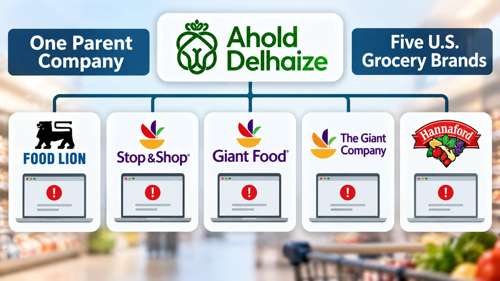 Infographic showing five major American grocery chains connected to Ahold Delhaize and their reported website outages