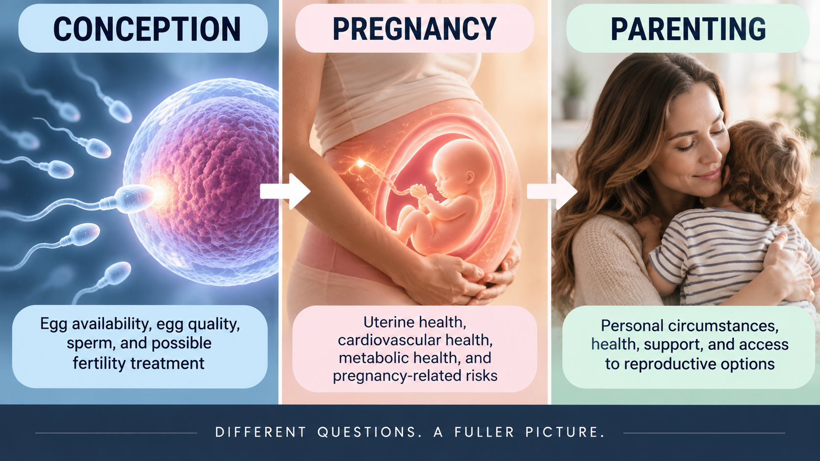 Three-part medical infographic distinguishing conception, carrying a pregnancy, and raising a child