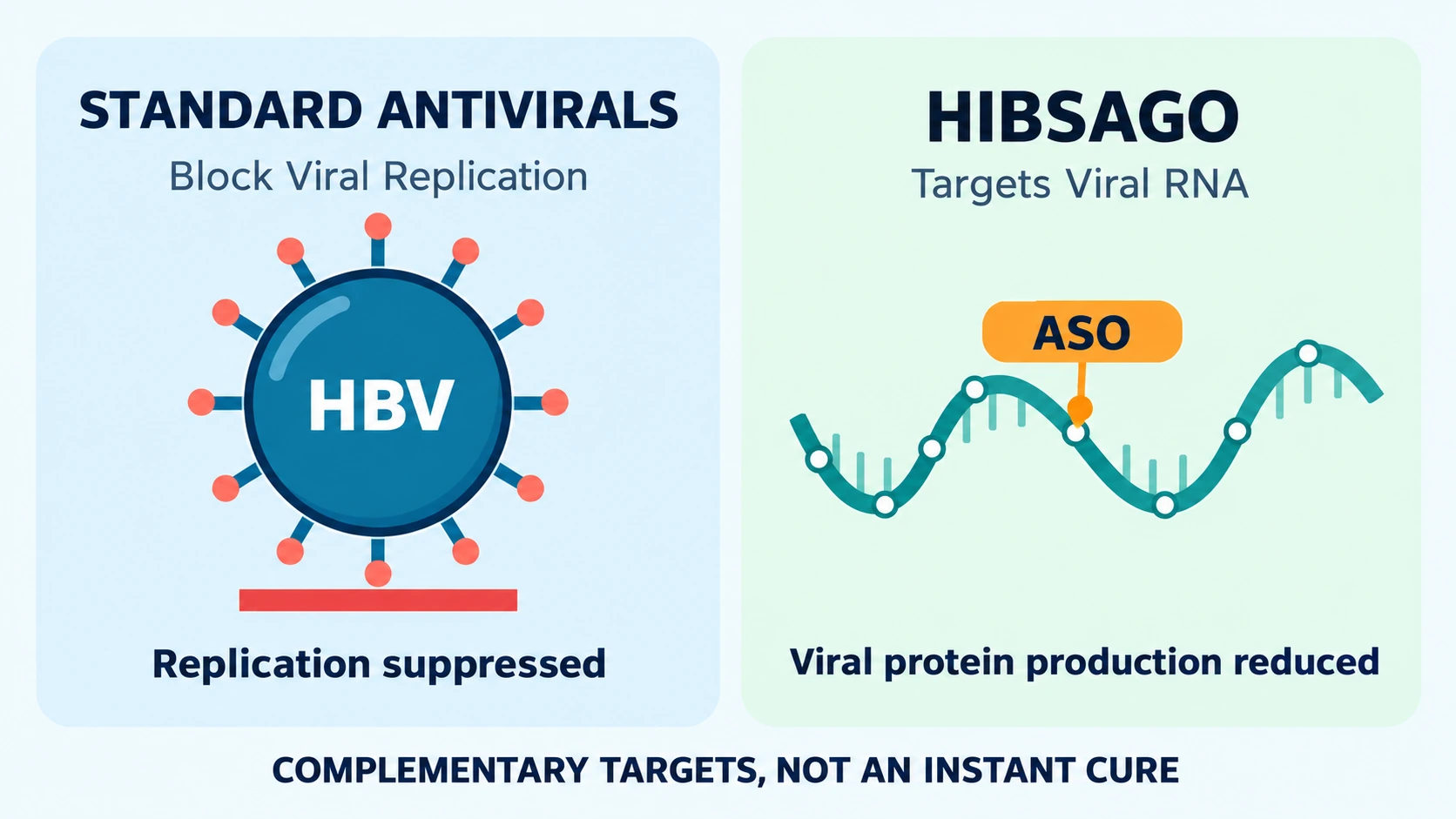 Scientific infographic comparing standard hepatitis B antivirals that suppress viral replication with Hibsago targeting viral RNA and reducing hepatitis B surface antigen production