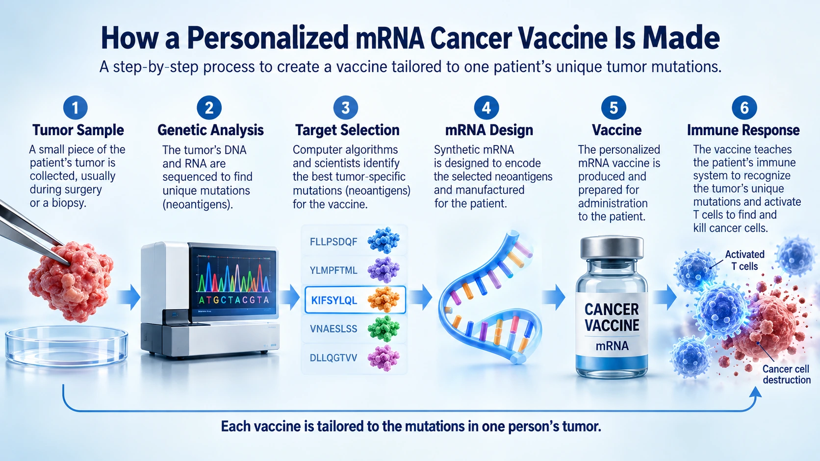 Step-by-step illustration showing tumor sampling, genetic sequencing, personalized mRNA vaccine design, manufacturing, and immune-system activation
